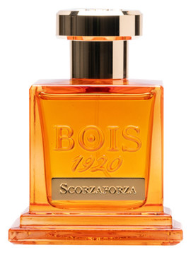 BOIS 1920 - Scorzaforza