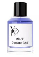 Купить YOU Black Currant Leaf