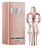 Купить Lagerfeld Ikonik