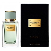 Купить Dolce & Gabbana Velvet Infusion