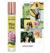 Купить Miss Kay Wildflower
