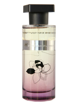 Ineke - Hothouse Flower