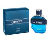 Мужская парфюмерия Sapil Intense