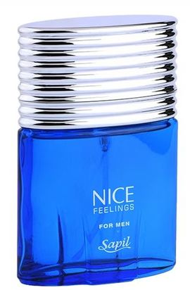 Sapil - Nice Feelings