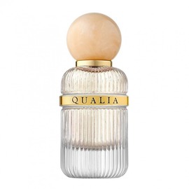 Qualia - Introvert Desire