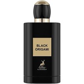 Black Origami