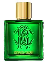 Мужская парфюмерия Roberto Cavalli Uomo Verde Assoluto