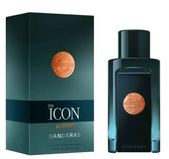 The Icon Attitude