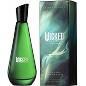 Wicked For Good – Elphaba Enchanted