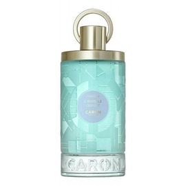 Caron - L'Invisible Qui Luit