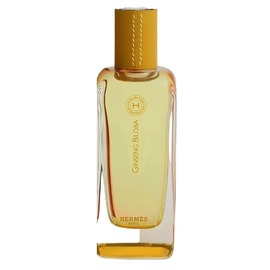 Hermes - Ginseng Biloba