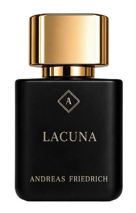 Andreas Friedrich - Lacuna