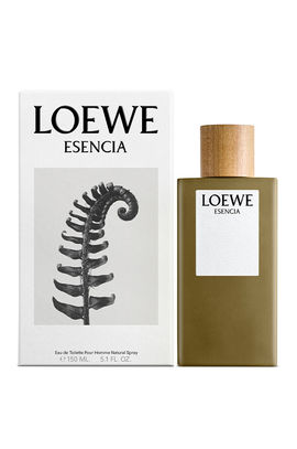 Отзывы на Loewe - Esencia