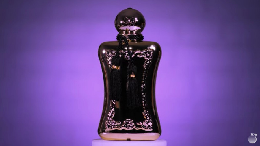 Обзор на аромат Parfums de Marly Darcy