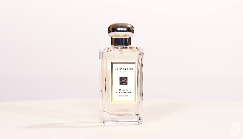 Обзор на аромат Jo Malone Mimosa & Cardamom