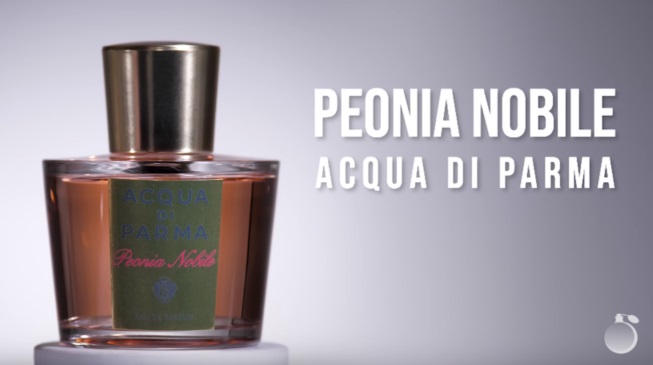 Обзор на аромат Acqua Di Parma Peonia Nobile