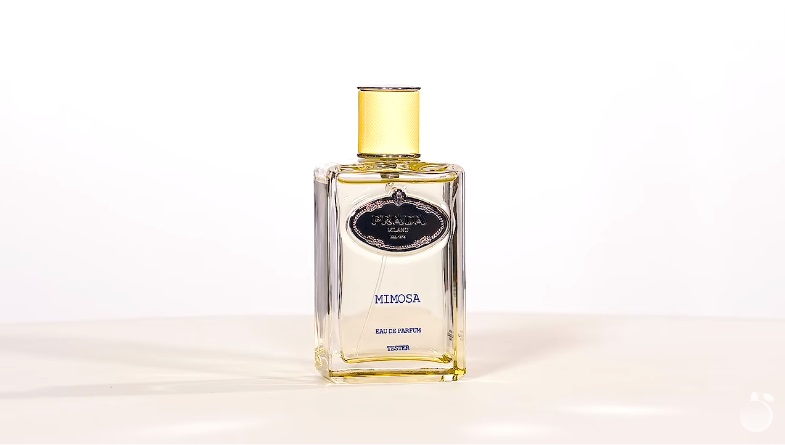 Обзор на аромат Prada Infusion De Mimosa