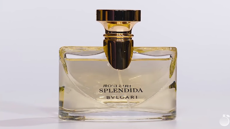 Обзор на аромат Bvlgari Splendida Iris D&lsquo;or