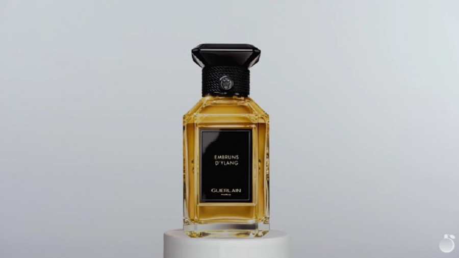 Обзор на аромат Guerlain Embruns D‘Ylang