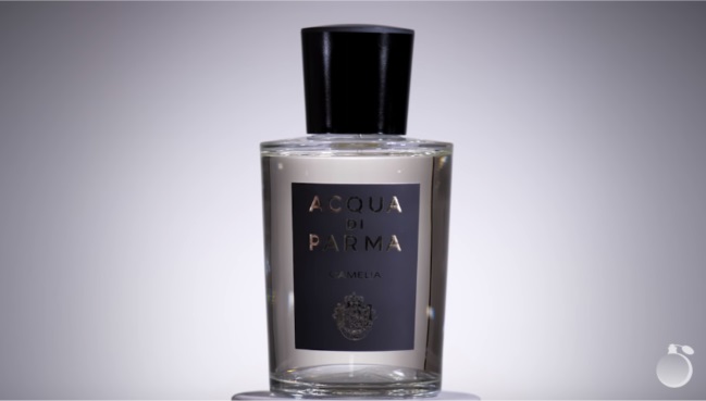 Обзор на аромат Acqua Di Parma Camelia Eau De Parfum