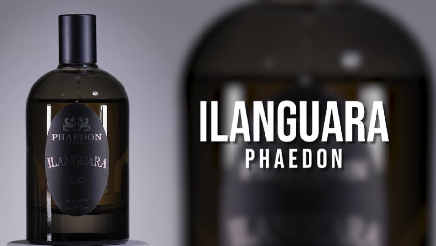 Обзор на аромат Phaedon Ilanguara