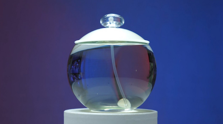 Обзор на аромат Cacharel Noa