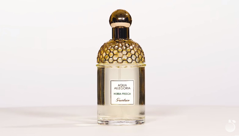 Обзор на аромат Guerlain Aqua Allegoria Herba Fresca