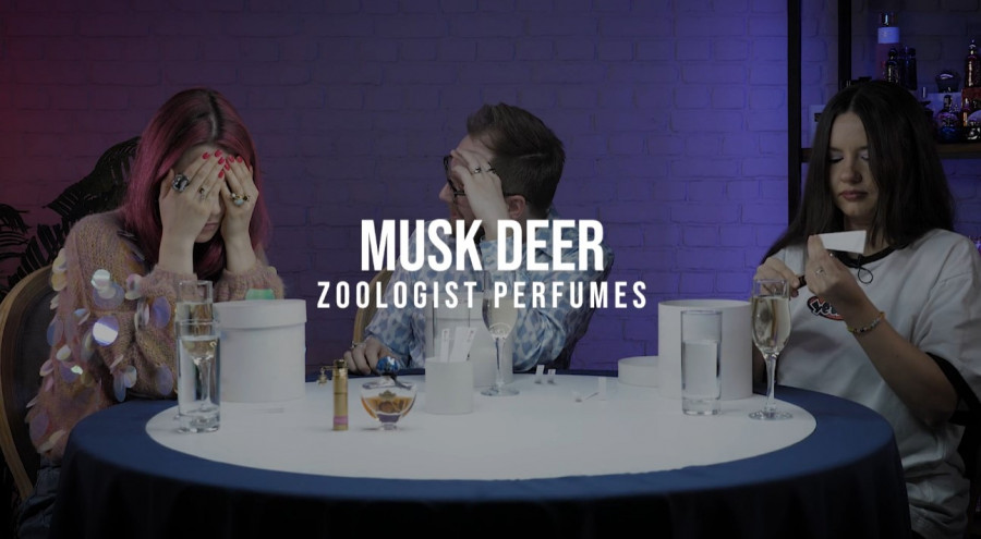 Обзор на аромат Zoologist Perfumes Musk Deer