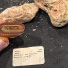 Отзывы Nicole Miller Men