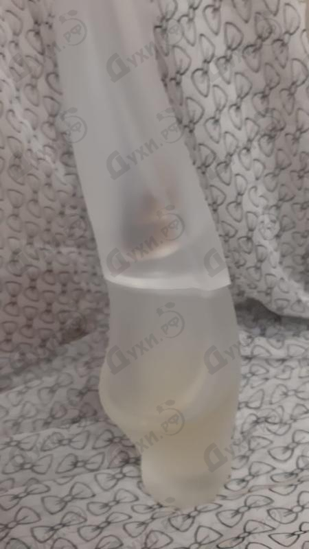 Отзывы Donna Karan Cashemere Mist Купить Cashemere Mist от Donna Karan