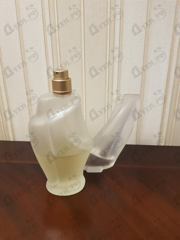 Парфюмерия Cashemere Mist от Donna Karan Парфюмерия Donna Karan Cashemere Mist