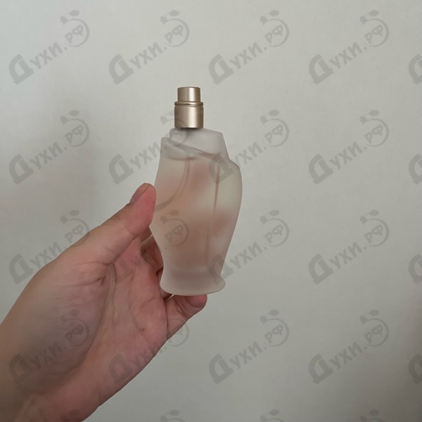 Отзывы Donna Karan Cashmere Mist