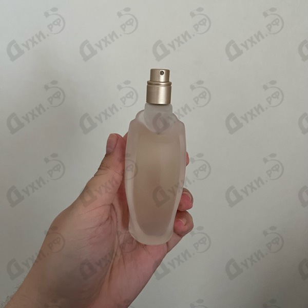 Купить Donna Karan Cashmere Mist