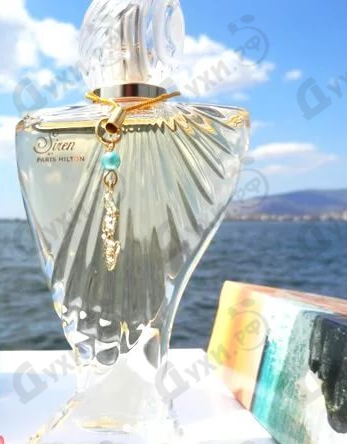 Отзыв Paris Hilton Siren Купить Siren от Paris Hilton