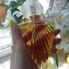 Парфюм Paris Hilton Siren