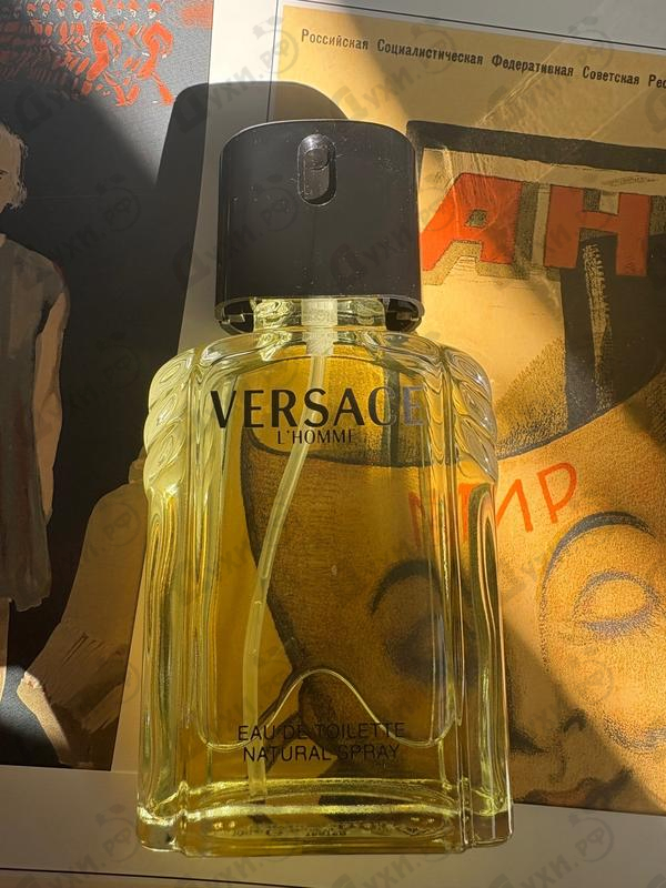 Отзыв Versace L'homme