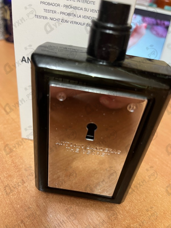 Купить The Secret от Antonio Banderas