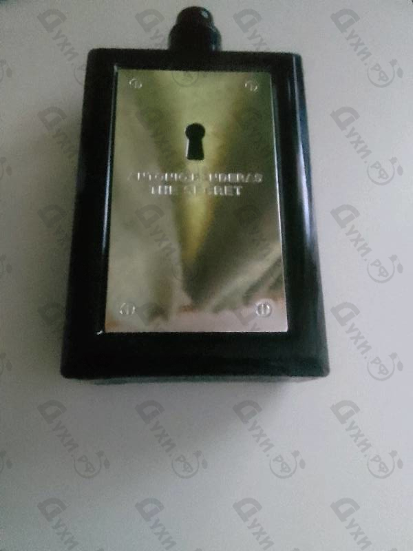 Купить The Secret от Antonio Banderas