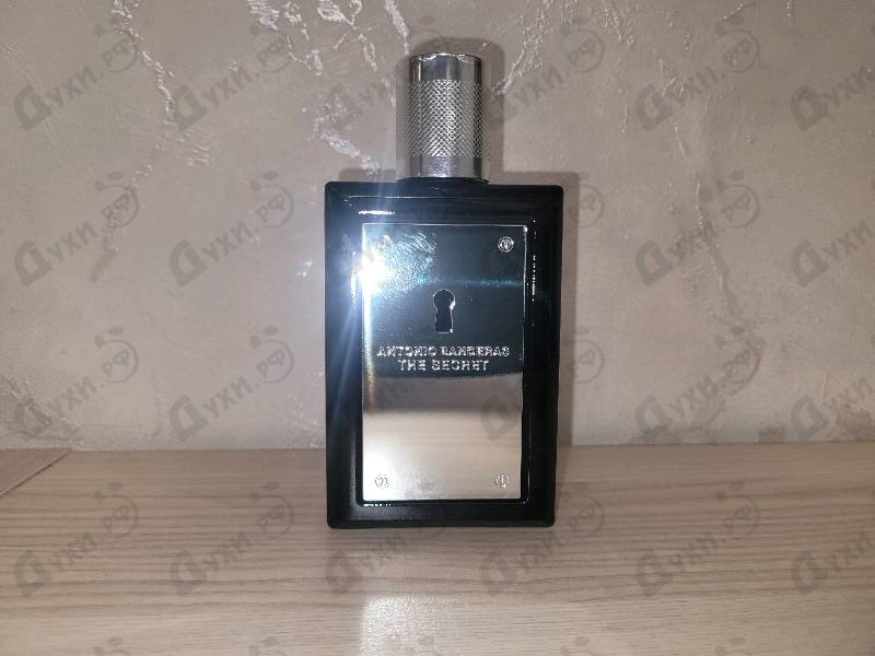 Купить Antonio Banderas The Secret