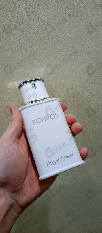 Купить Yves Saint Laurent Kouros