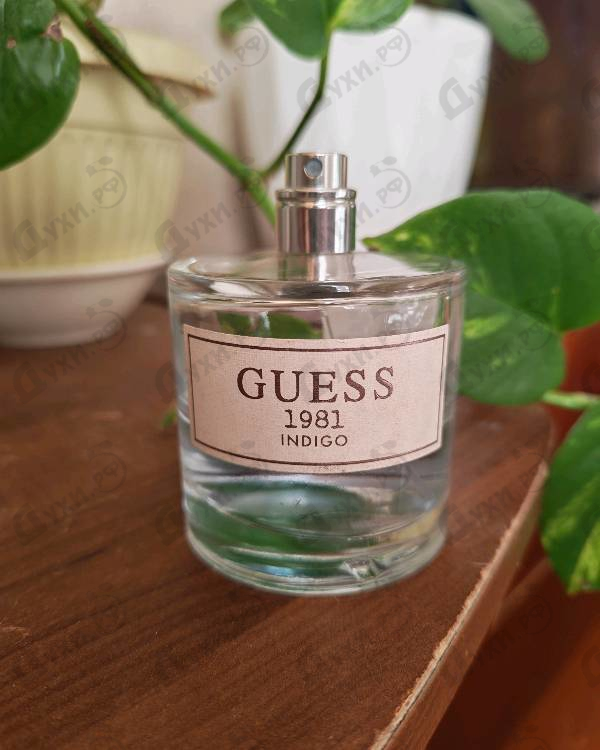 Парфюмерия Guess Guess 1981 Indigo