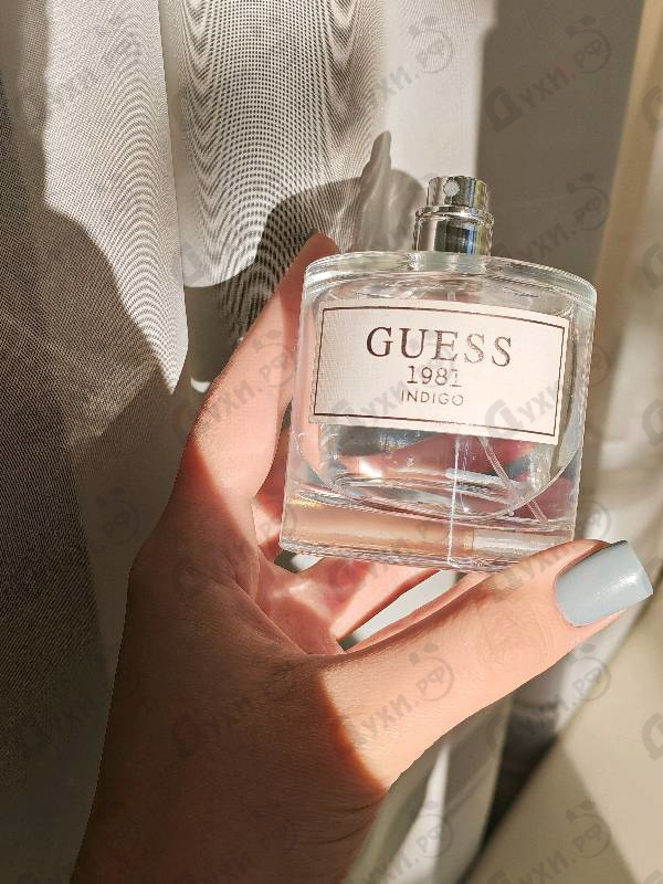 Купить Guess 1981 Indigo от Guess
