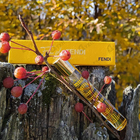 Отзыв Fendi Fan Di Fendi