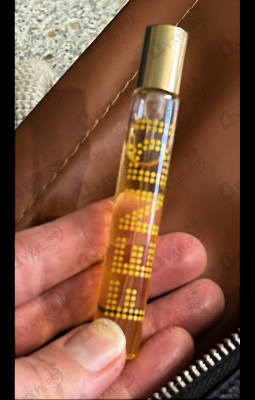 Купить Fan Di Fendi от Fendi