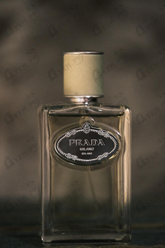 Купить Infusion De Vetiver от Prada