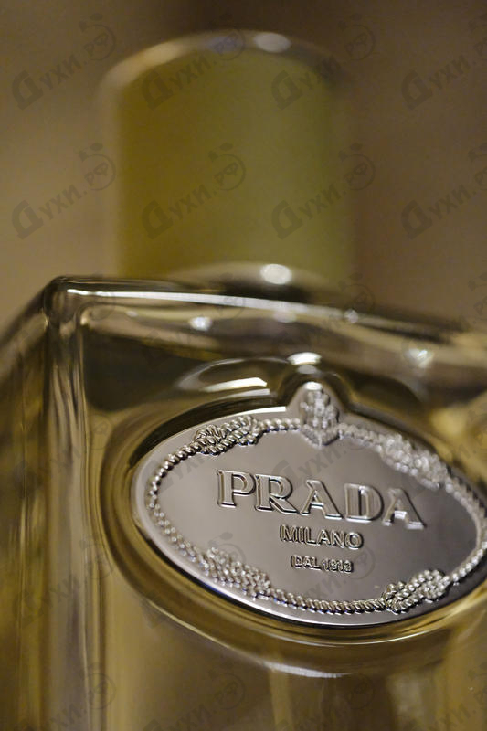 Купить Infusion De Vetiver от Prada