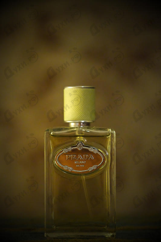 Отзыв Prada Infusion De Vetiver