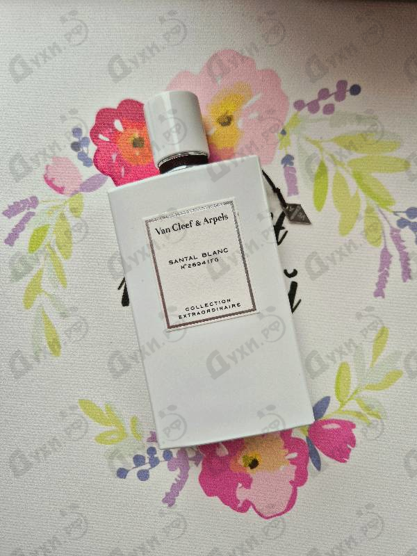Купить Santal Blanc от Van Cleef & Arpels