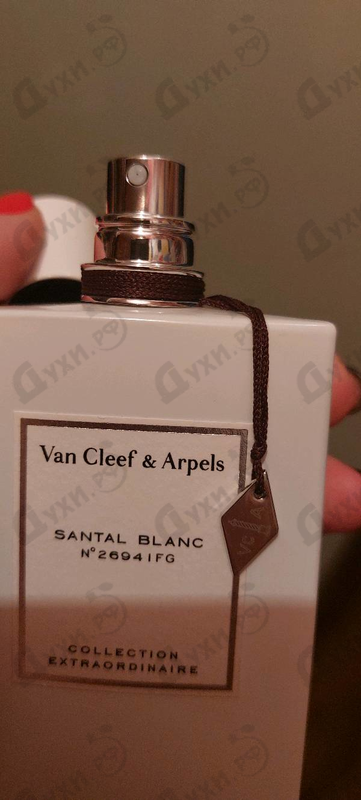 Купить Santal Blanc от Van Cleef & Arpels