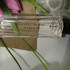 Отзыв Van Cleef & Arpels Santal Blanc